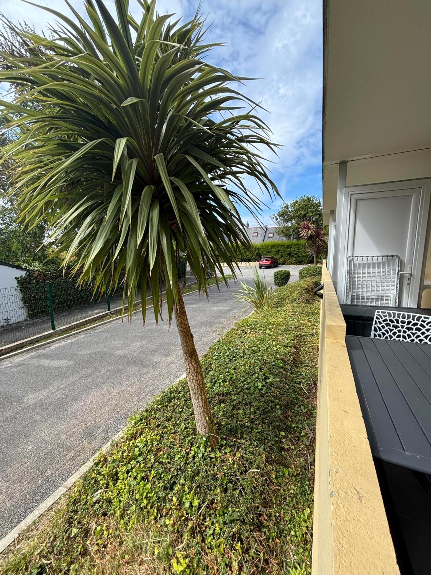 Appartement Studio 4 Personnes Dans Residence Avec Piscine 基伯龙 外观 照片